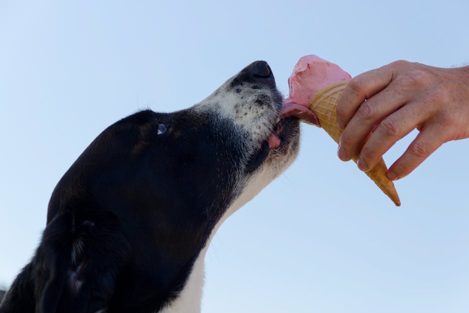 Comparing the Best Pet Food Brands: A Nutritional Analysis