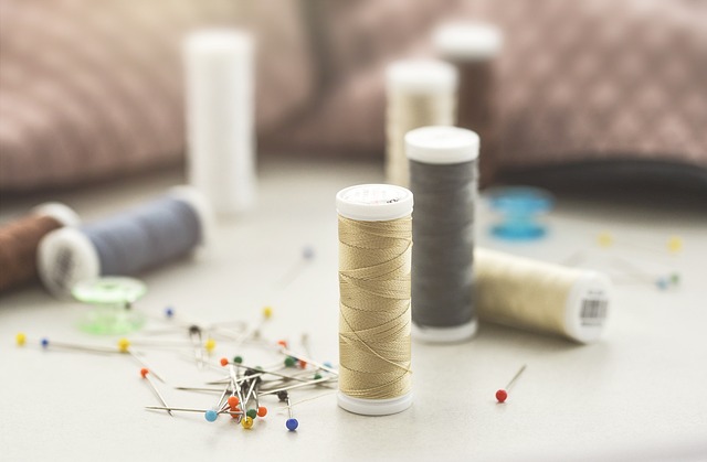 DIY Pet Crafts: Fun Projects to Make at Home