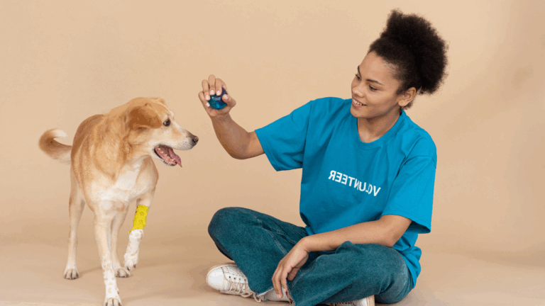 pet and volunteer