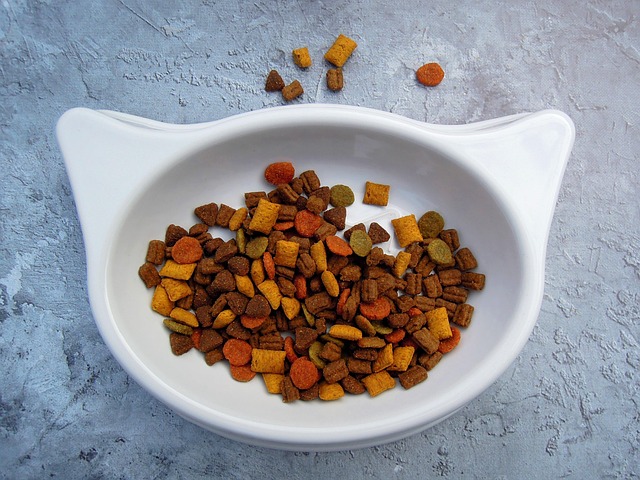 Top Trends in Pet Food and Nutrition in 2023
