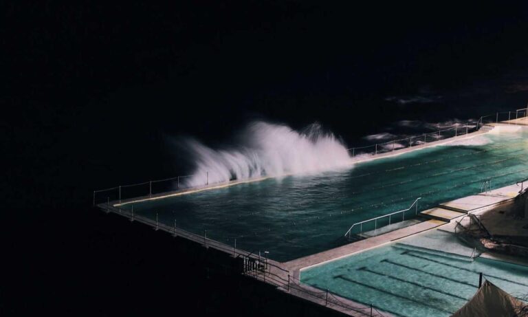 infoguide for birds llblogpet