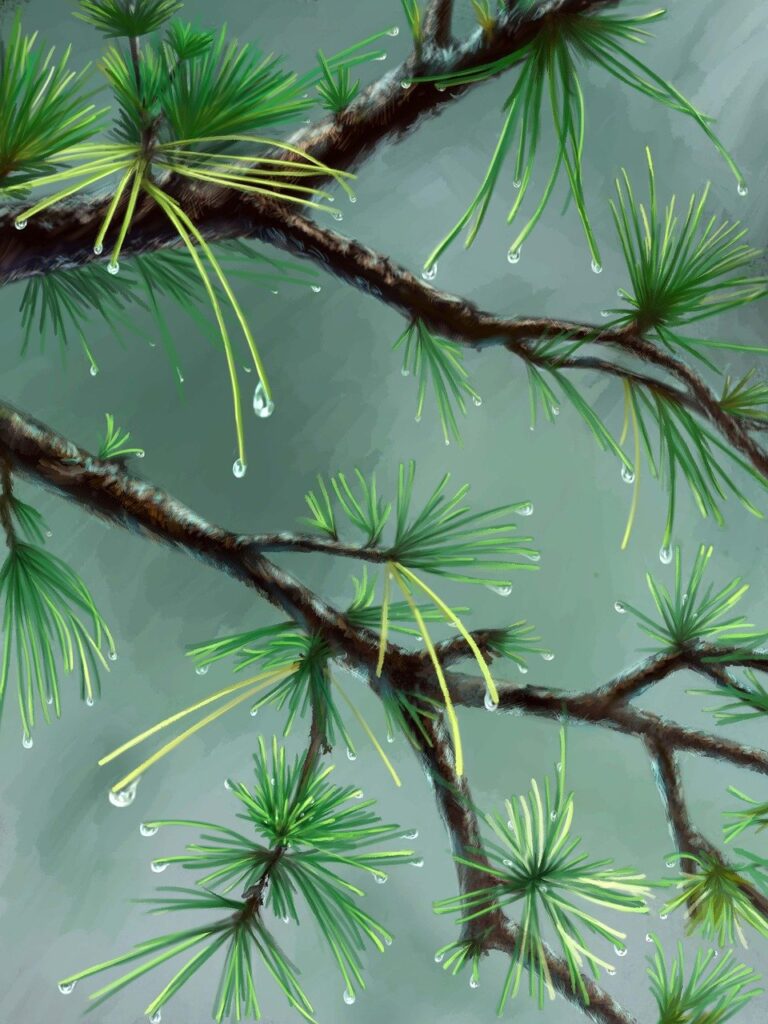 island name ponadiza