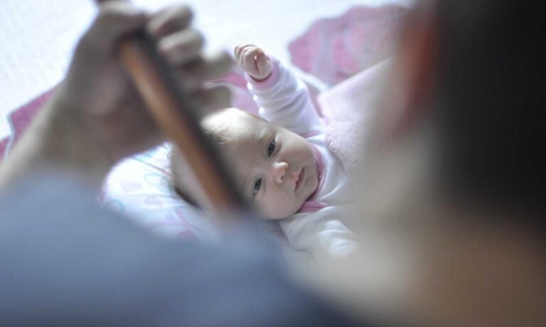 llblogpet advice for birds from lovelolablog