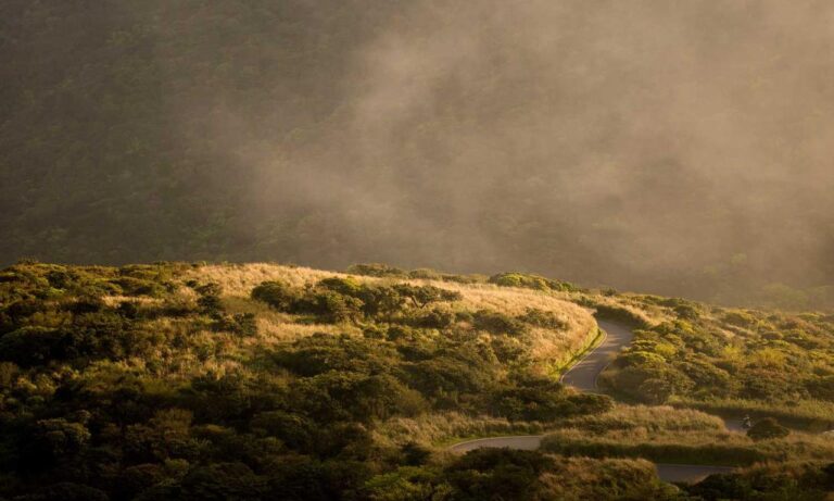 llblogpet advice for dogs by lovelolablog