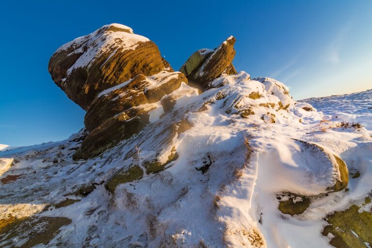 medicines used to treat tamophage