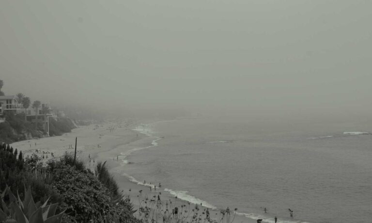 pet tips and tricks lwmfpets