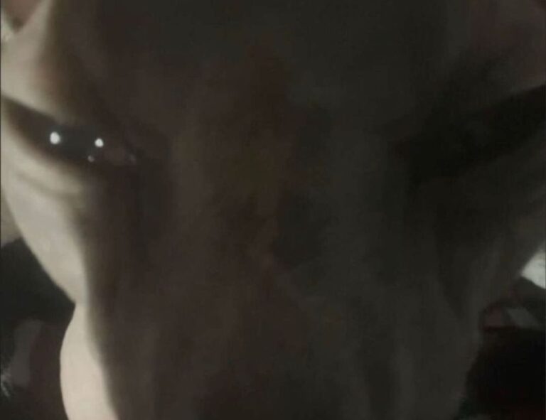 why zc jovapong hotel is cheap