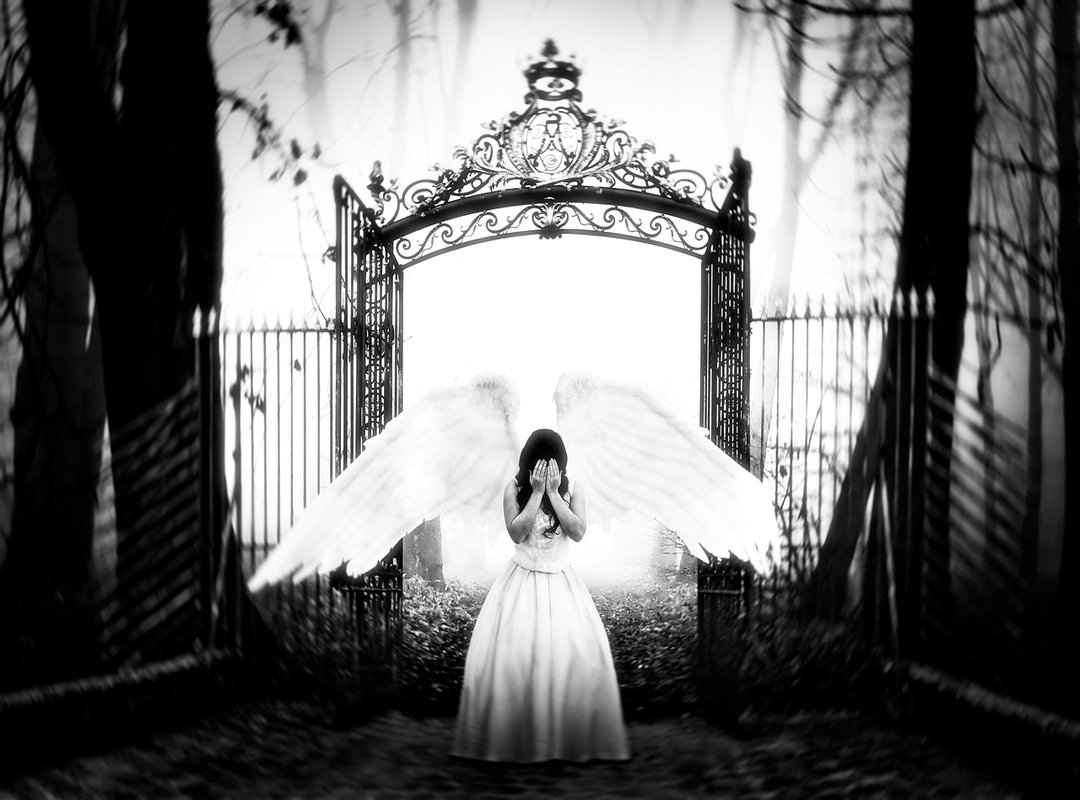 drew gulliver onlyfans leak