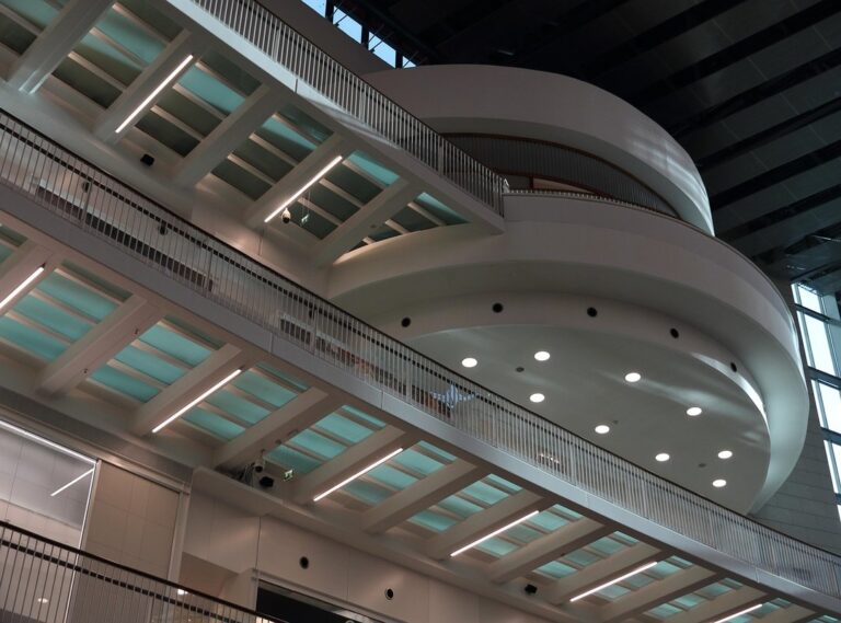 farinha de osso continente