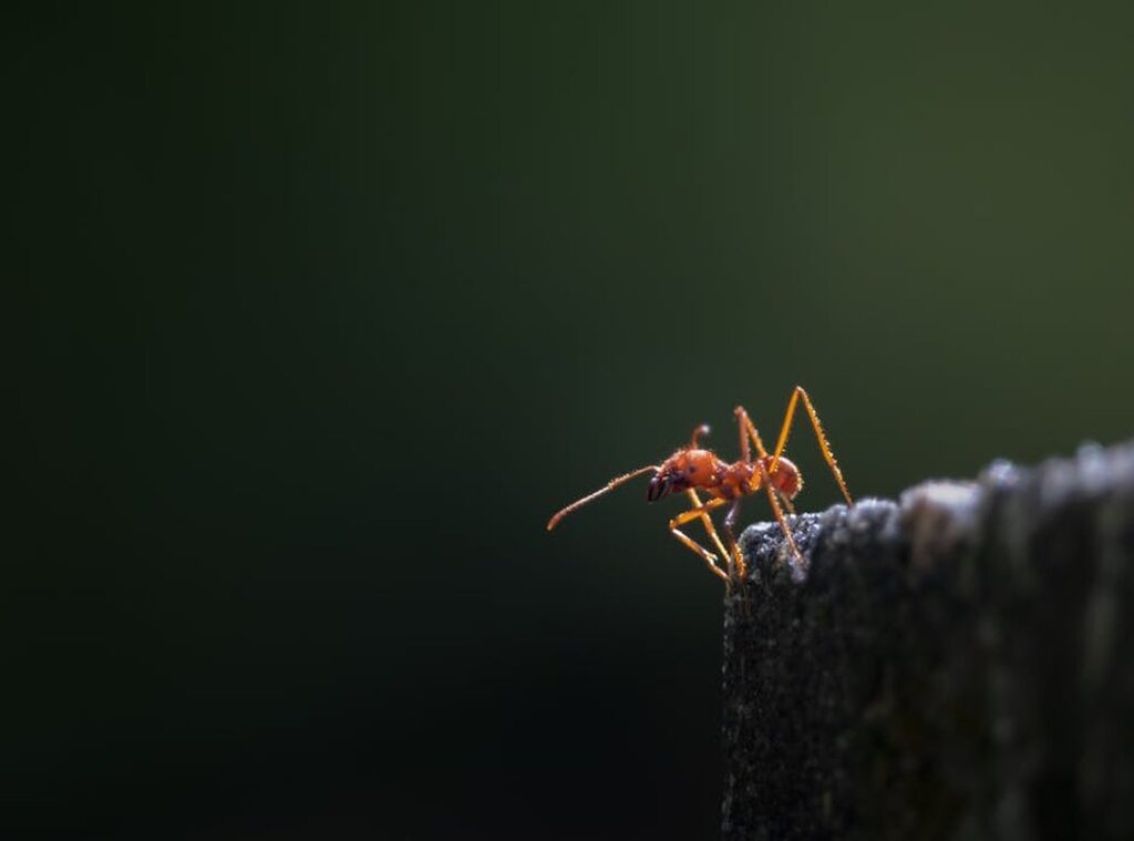 yeison jimenez antes y despues