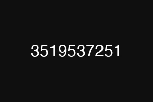 3519537251
