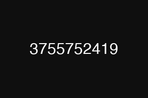 3755752419