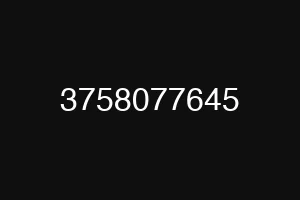 3758077645