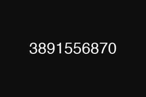 3891556870