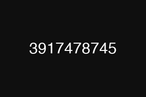 3917478745
