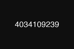 4034109239