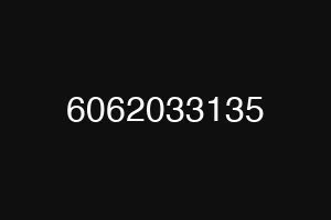 6062033135