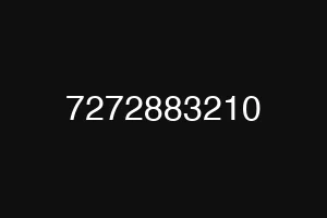 7272883210