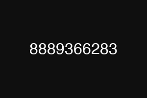 8889366283