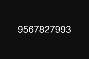 9567827993