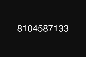 8104587133