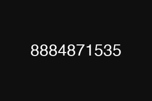 8884871535