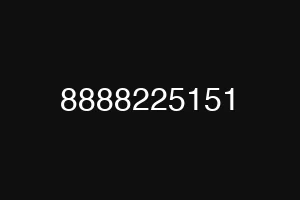 8888225151