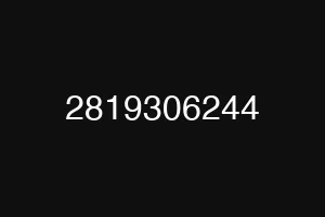 2819306244