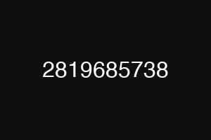 2819685738