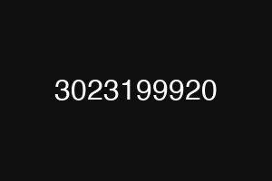 3023199920