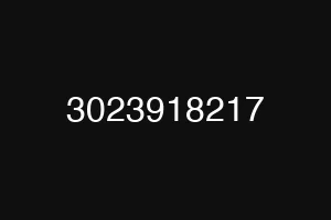 3023918217