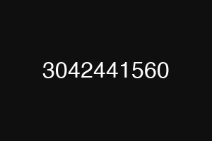 3042441560