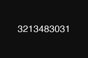 3213483031
