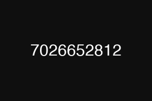 7026652812
