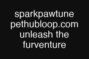 sparkpawtune pethubloop.com unleash the furventure